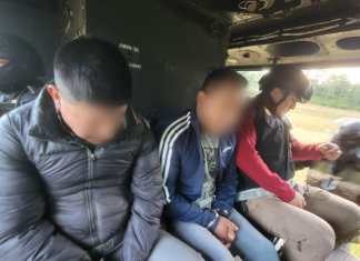 Los Quinos, así fue denominado el grupo de personas de cargos de tráfico de personas relacionados con el accidente de un camión con remolque en 2021, que transportaba al menos a 160 inmigrantes indocumentados. Foto La Hora: Archivo