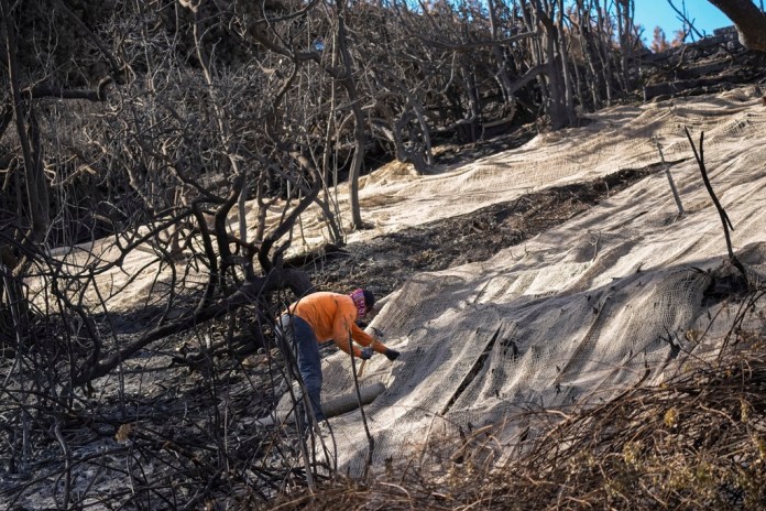 Trabajadores aseguran una red para impedir aludes de lodo en el lateral quemado de una mansión en el vecindario de Pacific Palisades, en Los Ángeles