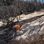 Trabajadores aseguran una red para impedir aludes de lodo en el lateral quemado de una mansión en el vecindario de Pacific Palisades, en Los Ángeles