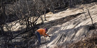 Trabajadores aseguran una red para impedir aludes de lodo en el lateral quemado de una mansión en el vecindario de Pacific Palisades, en Los Ángeles