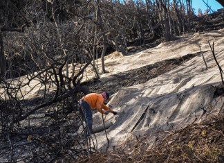 Trabajadores aseguran una red para impedir aludes de lodo en el lateral quemado de una mansión en el vecindario de Pacific Palisades, en Los Ángeles