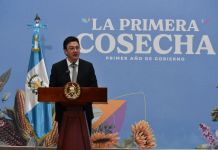 IGM: Son más de 3 mil retornados y afirman que podrían optar a capacitación y empleo dentro y fuera del país Alfredo Danilo Rivera Director migración