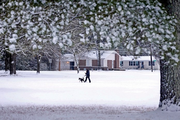 Un residente pasea su perro por un nevado Parque de los Veteranos, el 10 de enero de 2025, en Tupelo, Missouri. Foto La Hora: AP