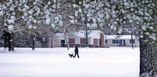 Un residente pasea su perro por un nevado Parque de los Veteranos, el 10 de enero de 2025, en Tupelo, Missouri. Foto La Hora: AP