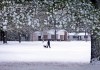 Un residente pasea su perro por un nevado Parque de los Veteranos, el 10 de enero de 2025, en Tupelo, Missouri. Foto La Hora: AP