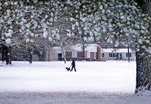 Estados Unidos: Vuelos cancelados por tormenta invernal Un residente pasea su perro por un nevado Parque de los Veteranos, el 10 de enero de 2025, en Tupelo, Missouri. Foto La Hora: AP