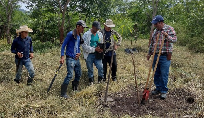 Tierras campesinos fincas