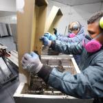 Dispersan más de 98 millones de moscas estériles para controlar el gusano barrenador