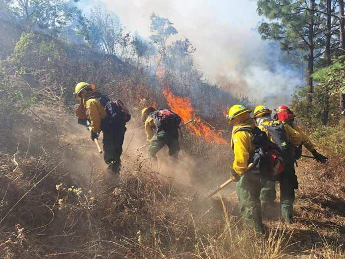 Incendio forestal Conred