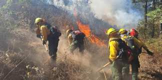 Incendio forestal Conred