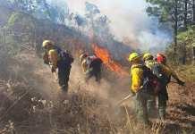 Más de siete instituciones conforman el Protocolo de Incendios Forestales 2025 de la Conred Foto La Hora: Conred