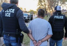 Las detenciones de inmigrantes han aumentado en los primeros días del gobierno Donald Trump. Foto: ICE.