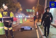 Motorista quedó fallecido en bulevar Los Próceres, 14 avenida, zona 10 Foto La Hora: x de Amílcar Montejo