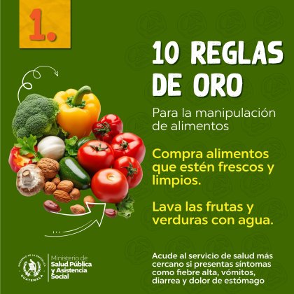 Las 10 reglas de oro establecidas por la OMS para mantener una buena salud y prevenir enfermedades alimentarias