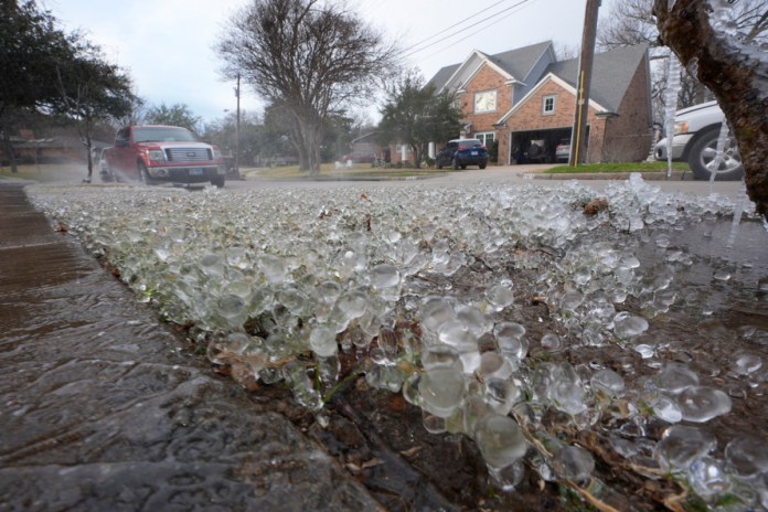 Las bajas temperaturas y un aspersor de jardín crean una capa de hielo sobre el césped antes de la llegada de una tormenta invernal al norte de Texas, el 8 de enero de 2025, en Richardson, Texas. Foto La Hora: AP