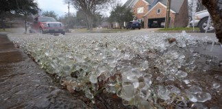 Las bajas temperaturas y un aspersor de jardín crean una capa de hielo sobre el césped antes de la llegada de una tormenta invernal al norte de Texas, el 8 de enero de 2025, en Richardson, Texas. Foto La Hora: AP