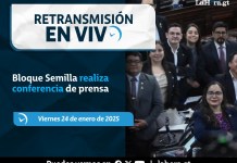 Retransmisión: Bloque Semilla realiza conferencia de prensa Retransmisión: Bloque Semilla realiza conferencia de prensa