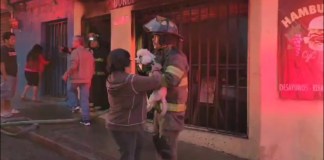 Bomberos Voluntarios rescataron a un canino. Foto: CVB