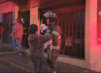 Bomberos Voluntarios rescataron a un canino. Foto: CVB