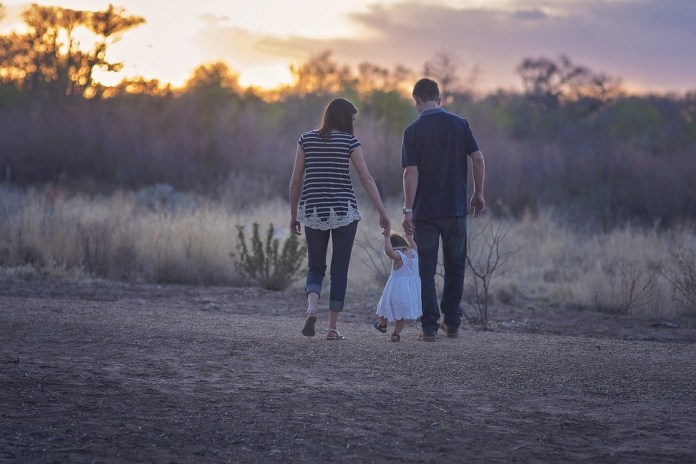 familia y seguros