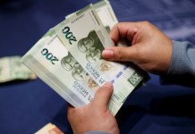 Peso mexicano gana terreno frente al dólar estadounidense tras investidura de Trump Imagen de archivo de una persona que cuenta billetes de 200 pesos en Ciudad de México (México). Foto La Hora: EFE/ José Méndez