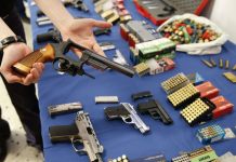 Varios países de Centroamérica y República Dominicana lanzaron una iniciativa coordinada para frenar el tráfico ilegal de armas en la región, informó la OEA en un comunicado.