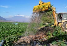 Enero 2025: Más de 7 mil metros cúbicos de residuos y desechos han sido extraídos del lago de Amatitlán En enero más de 7 mil metros cúbicos de residuos y desechos han sido extraídos del lago de Amatitlán