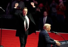 Como un "empleado gubernamental especial", así considera Trump a Elon Musk