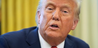 Trump busca acuerdo con Ucrania para acceder a metales raros a cambio de apoyo estadounidense