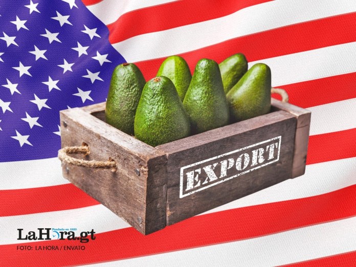 Una caja de aguacates con una bandera de Estados Unidos al fondo.