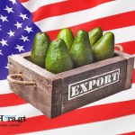 Una caja de aguacates con una bandera de Estados Unidos al fondo.