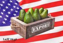 Una caja de aguacates con una bandera de Estados Unidos al fondo.