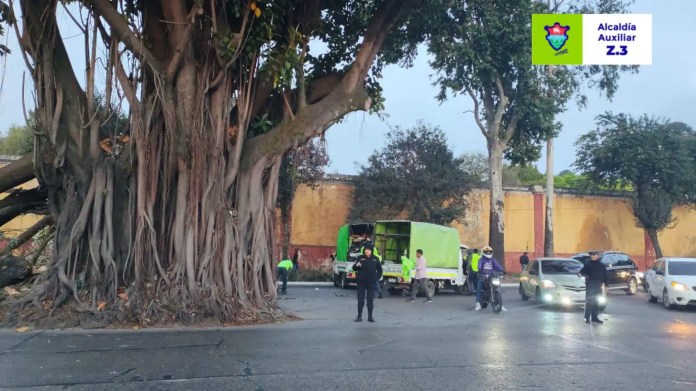 Varias ramas del árbol de los lamentos cayeron el pasado 10 de febrero. Foto: Alcaldía Auxiliar zona 3 / La Hora