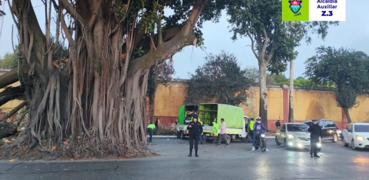 Varias ramas del árbol de los lamentos cayeron el pasado 10 de febrero. Foto: Alcaldía Auxiliar zona 3 / La Hora