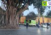 Varias ramas del árbol de los lamentos cayeron el pasado 10 de febrero. Foto: Alcaldía Auxiliar zona 3 / La Hora