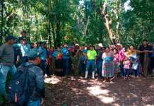 CONAP e INAB denuncian usurpación en el Parque Nacional Laguna Lachuá