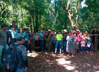 CONAP e INAB denuncian usurpación en el Parque Nacional Laguna Lachuá