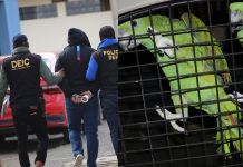 En allanamiento en Quetzaltenango rescatan dos loros nuca amarilla. Foto La Hora: PNC