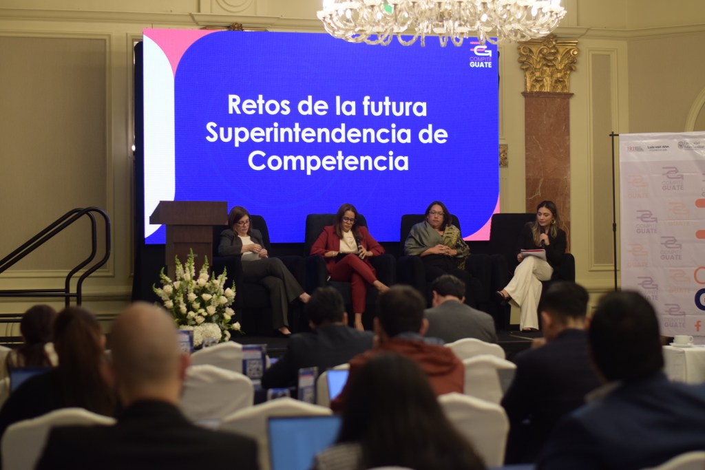 Los conversatorios fueron integrados por representantes de otras instituciones de la región. Foto: CNE.