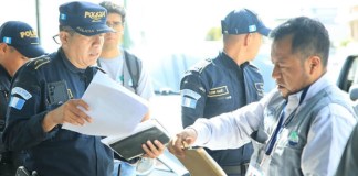 MAGA investiga el atropellamiento de un perro en La Antigua, caso que podría ser multado hasta con Q24 mil