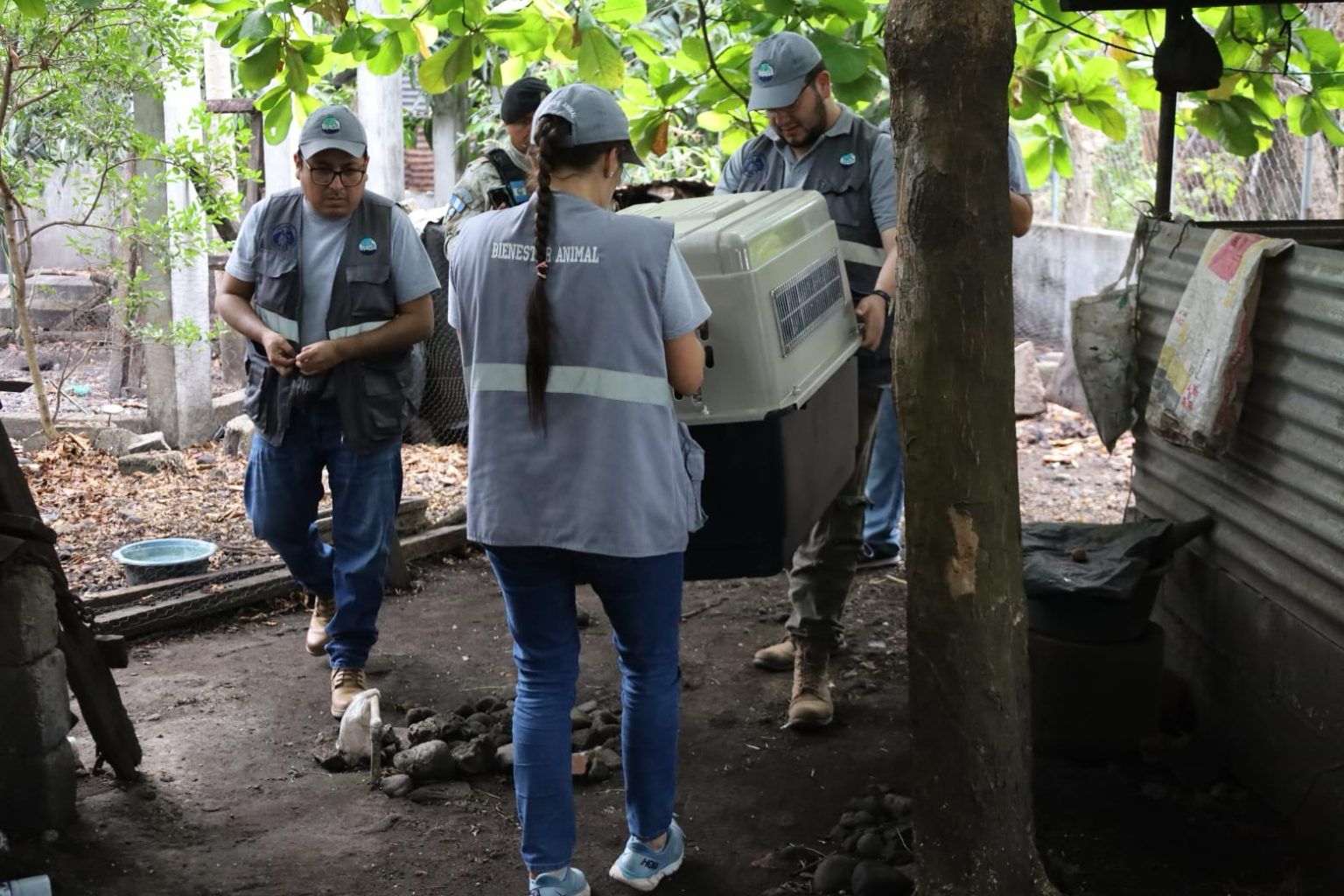 MAGA decomisa a dos perros en estado crítico de salud en Escuintla