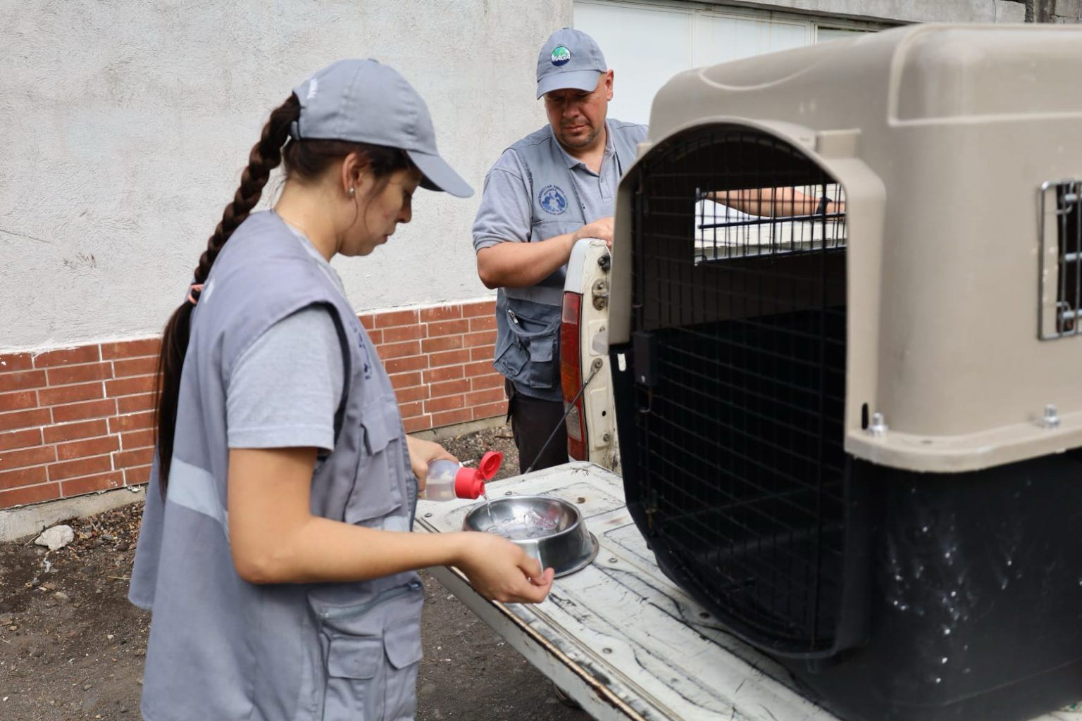 MAGA decomisa a dos perros en estado crítico de salud en Escuintla