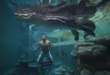 Cocodrilos Australia