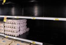 EE.UU. invertirá mil millones de dólares para combatir la gripe aviar e importar huevos Foto La Hora: EFE