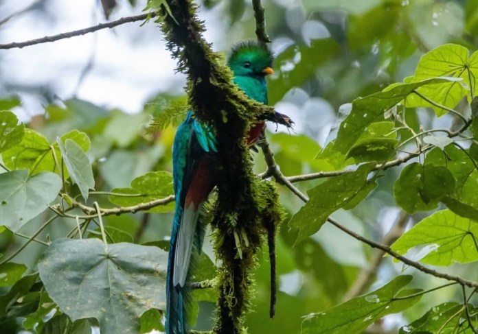 3 de marzo: DÃ­a Mundial de la vida silvestre y la naturaleza