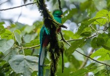 3 de marzo: Día Mundial de la vida silvestre y la naturaleza