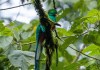 3 de marzo: Día Mundial de la vida silvestre y la naturaleza