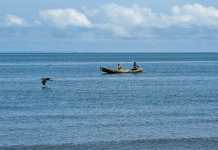 MAGA informa sobre la prohibición de pesca de la familia de peces ángel y loro por cinco años Pescadores en barca en el Caribe guatemalteco. Foto La Hora: MAGA