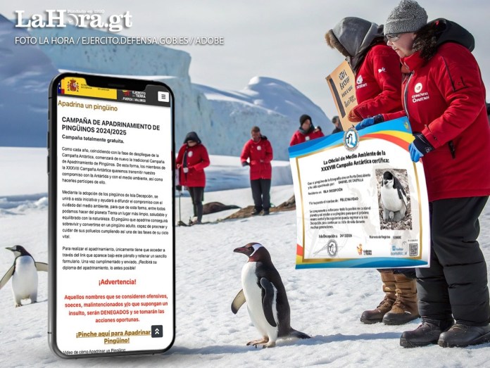 Así se puede adoptar un pingüino. Foto La Hora/Diseño Roberto Altán