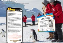 Paso a paso de cómo apadrinar un pingüino gratis y de forma virtual Así se puede adoptar un pingüino. Foto La Hora/Diseño Roberto Altán